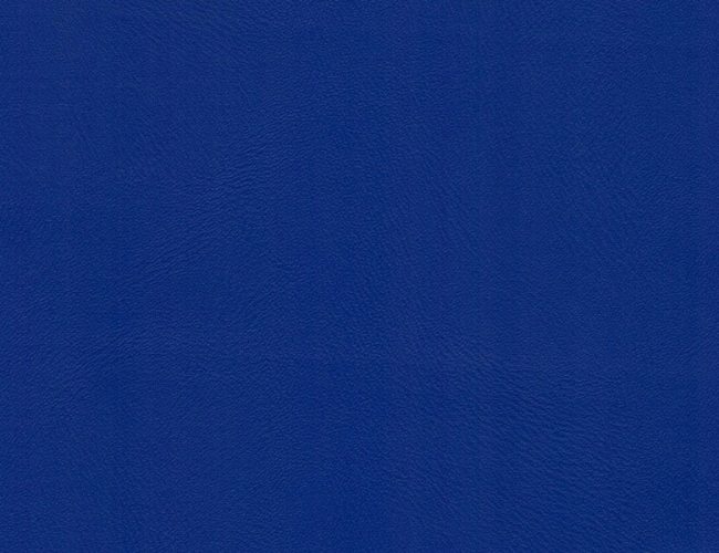 Dynactiv 215 Deep Ultramarine