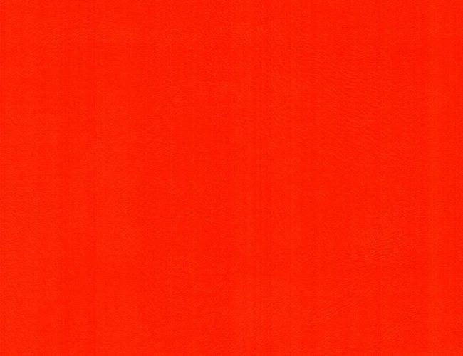 Dynactiv 215 Tomato