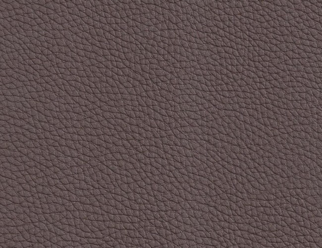 Ohio 411 mocca